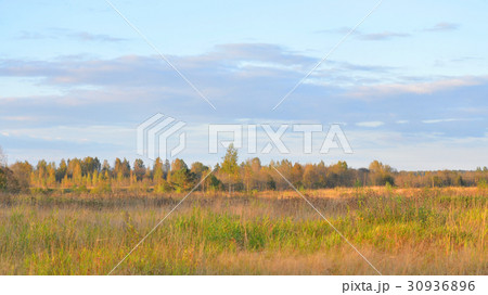 Landscape with field by evening. Landscape with field by evening. 30936896