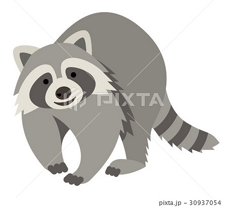 Cute smiling raccoon cartoon illustration Cute smiling raccoon cartoon illustration 30937054
