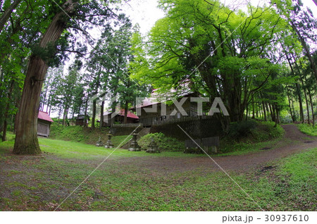 信州　小谷村の文化財　中谷大宮諏訪神社社叢　２００本余の古木が繁る荘厳な社叢 30937610