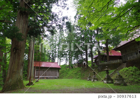 信州 小谷村の文化財 中谷大宮諏訪神社社叢 200本余の古木が繁る荘厳な社叢 信州 小谷村の文化財 中谷大宮諏訪神社社叢 200本余の古木が繁る荘厳な社叢 30937613