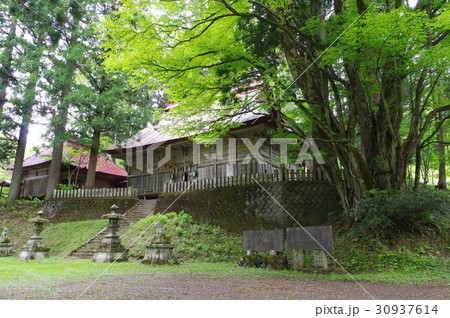 信州　小谷村の文化財　中谷大宮諏訪神社社叢　２００本余の古木が繁る荘厳な社叢 30937614