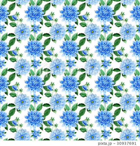 Wildflower blue dahila flower pattern in a 30937691