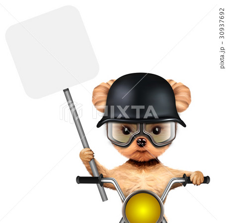 Funny biker dog sitting on a chopper. 30937692