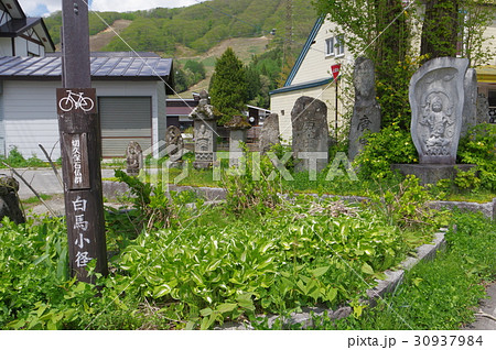 信州　北安曇白馬の文化財　切久保の庚申塔　江戸時代初期の庚申信仰の石仏群 30937984