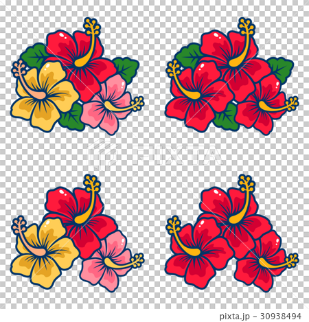 花 イラスト ハイビスカス Hibiscus 05のイラスト素材