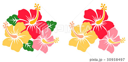 ユニーク沖縄 花 イラスト 最高の花の画像