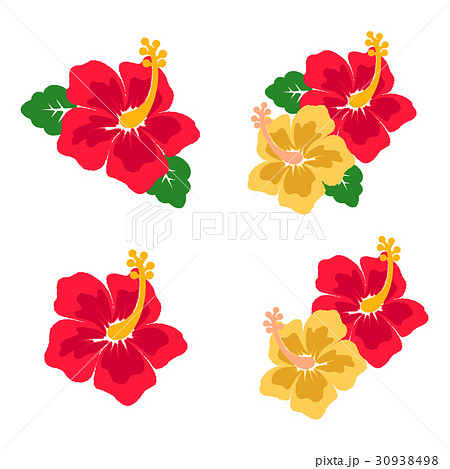 すべての美しい花の画像 トップ100ハイビスカス ハワイ 花 イラスト