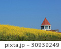 あおぞらと菜の花と赤い屋根 30939249