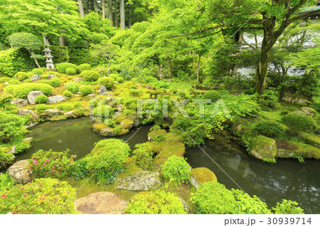 三千院 新緑 三千院 新緑 30939714