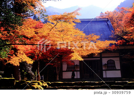高源寺（兵庫県　丹波市）境内の紅葉 30939759