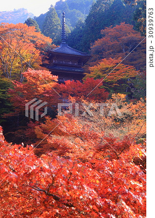 高源寺(兵庫県 丹波市)境内の紅葉 高源寺(兵庫県 丹波市)境内の紅葉 30939763