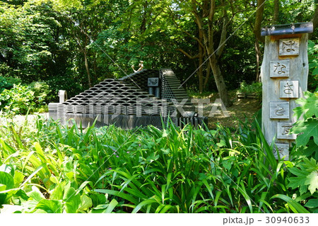 兵庫県 加古川市日岡山公園 兵庫県 加古川市日岡山公園 30940633