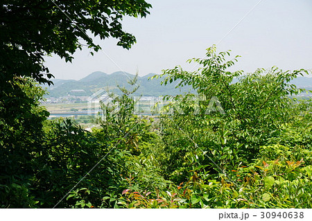 兵庫県　加古川市日岡山公園 30940638