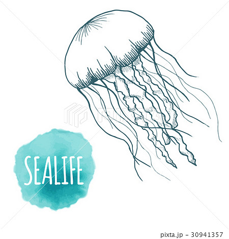 Hand Drawn Sketch Isolated Jellyfish Marineのイラスト素材