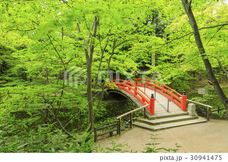 北野天満宮　新緑 30941475