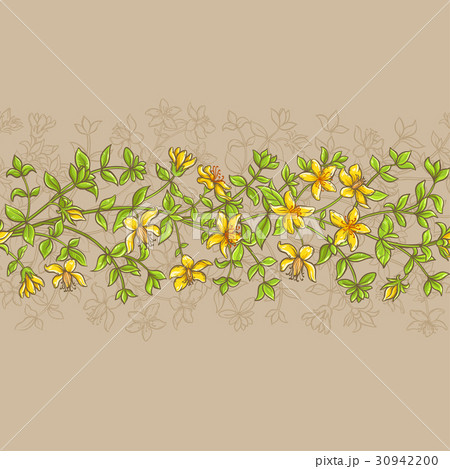 tutsan vector pattern 30942200