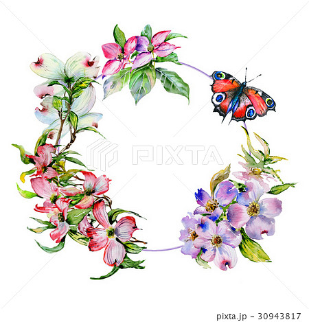 Wildflower dogwood flower frame in a watercolor 30943817