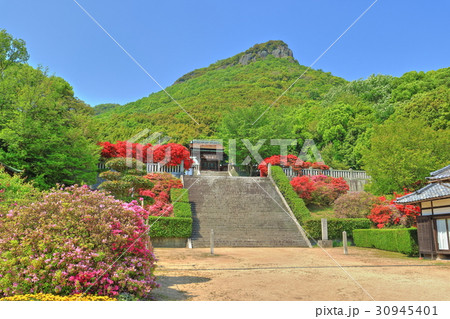 新緑の屋島と屋島神社 新緑の屋島と屋島神社 30945401