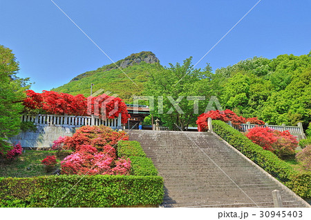新緑の屋島と屋島神社 30945403