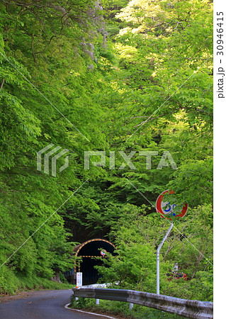 新緑の馬坂トンネル 30946415