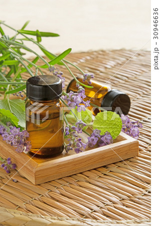 アロマオイル ラベンダー ミント アロマオイル ラベンダー ミント 30946636