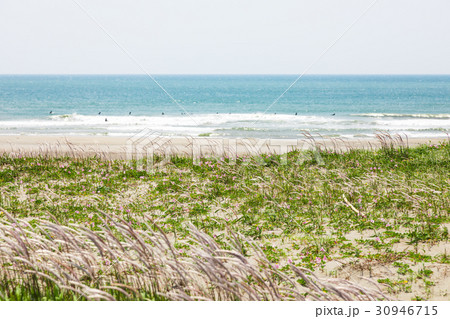 赤羽根海岸　ロコパーク　[愛知県] 30946715