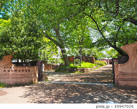 大森貝塚遺跡庭園 大森貝塚遺跡庭園 30947026