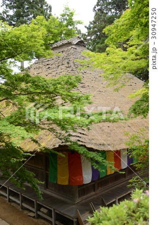 新緑に包まれた茅葺屋根 30947250