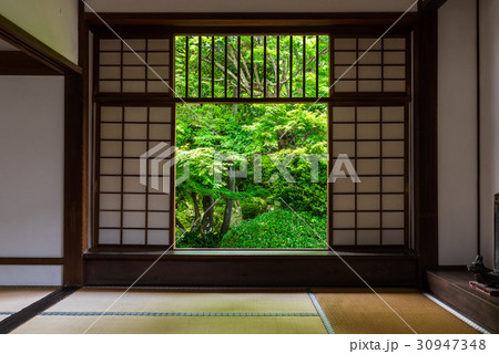 新緑の京都　源光庵　迷いの窓 30947348