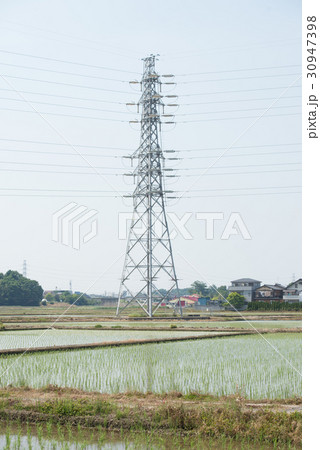 水田　田んぼ　農業　第一次産業　第６次産業 30947398