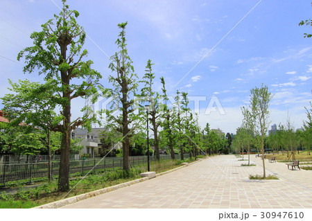 下高井戸おおぞら公園の写真素材