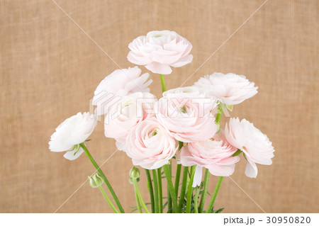 The flowers 018 30950820