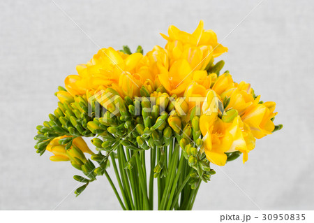 The flowers 011 30950835