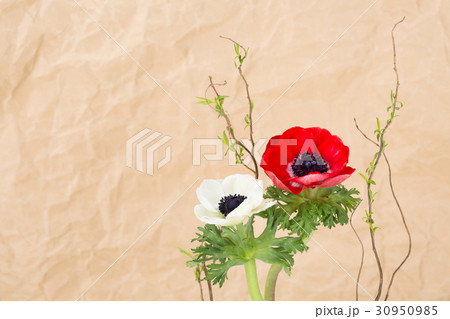 The flowers 015 30950985
