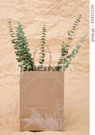 The flowers 197 30951230