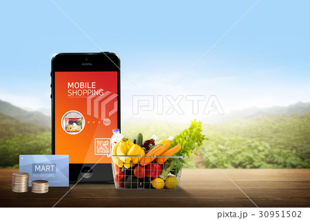 Mobile service 012 30951502