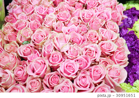 The flowers 250 The flowers 250 30951651