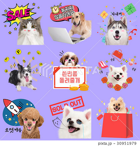Pets Emotions Set 002 30951979