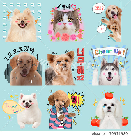 Pets Emotions Set 006 Pets Emotions Set 006 30951980