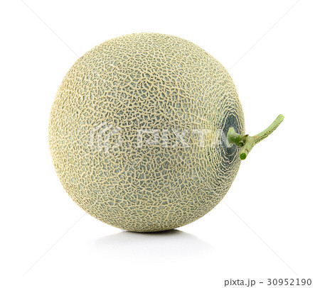 Ripe cantaloupe melon on white background Ripe cantaloupe melon on white background 30952190