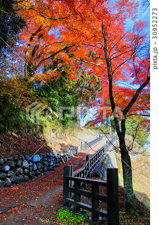 相馬神社(相馬市) 相馬神社(相馬市) 30952273