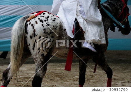 葵祭走馬の儀 30952790