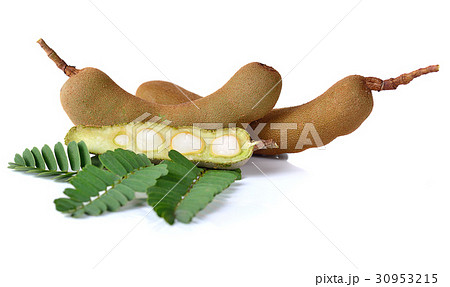 Tamarind isolated on white background 30953215