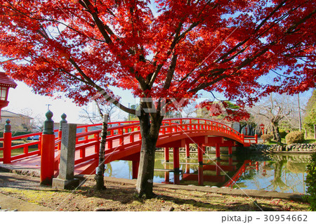涼ケ岡八幡神社(相馬市) 涼ケ岡八幡神社(相馬市) 30954662