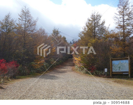 石鎚ロープウェイ山頂成就駅付近の紅葉 30954688