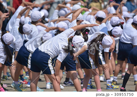 小学校の運動会風景 小学校の運動会風景 30955750
