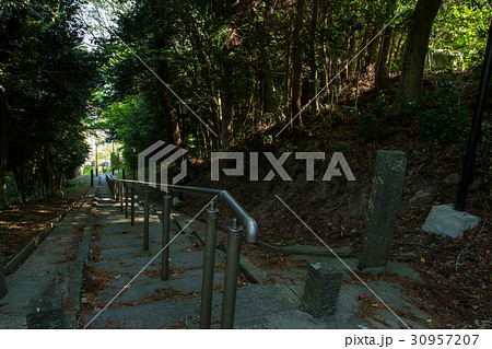 毘沙門堂【松島四大観多聞山】 30957207
