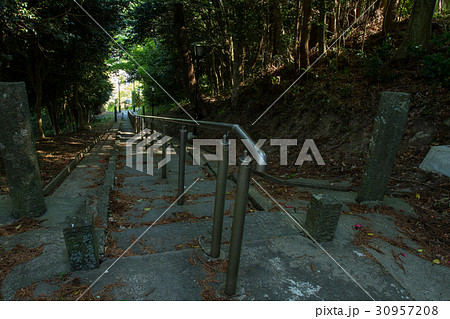 毘沙門堂【松島四大観多聞山】 30957208