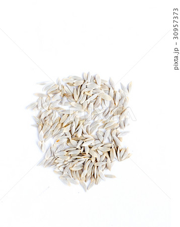 レタスの種 レタスの種 30957373