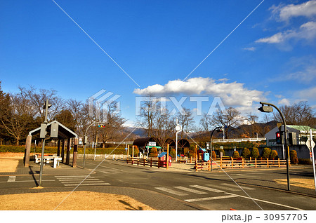 金川の森 30957705